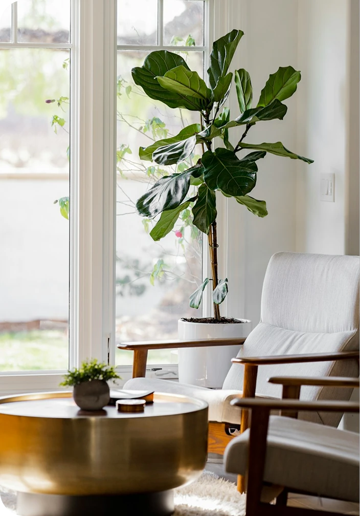 Galera Markt - Ihr Zuhause